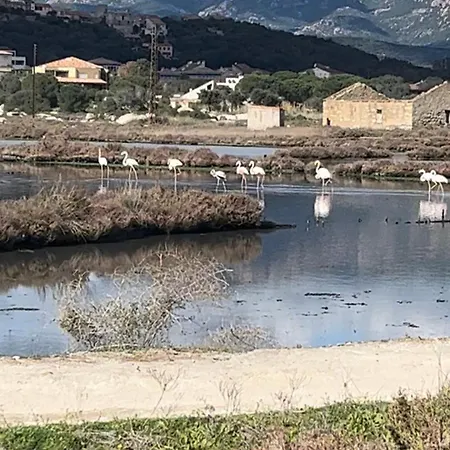Vecchio Sam Apartment